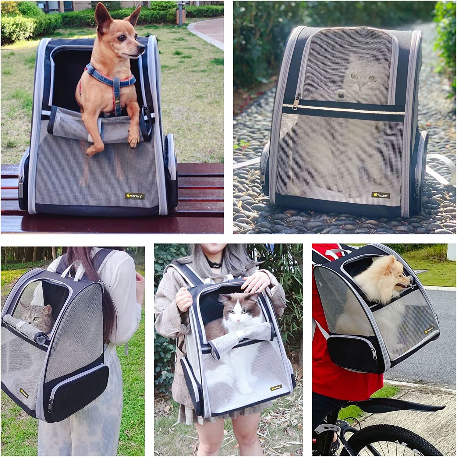 Pet Backpack Carrier for Small Cats Dogs | Ventilated Design, Safety Straps, Buckle Support, Collapsible | Designed for Travel, Hiking, Walking & Outdoor Use